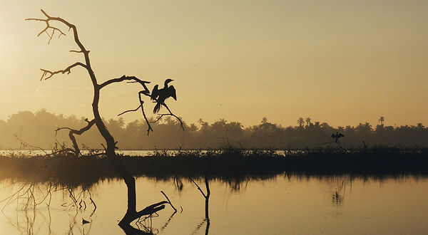 thekkady.jpg