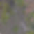 Main 15mb skeleton.jpg