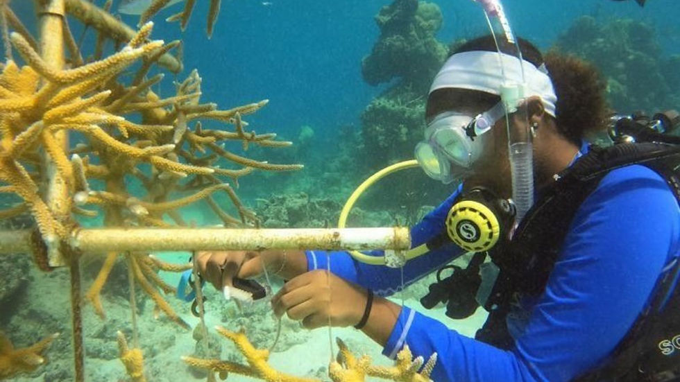 marine-conservation.jpg