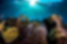 bahamas-reef.jpg