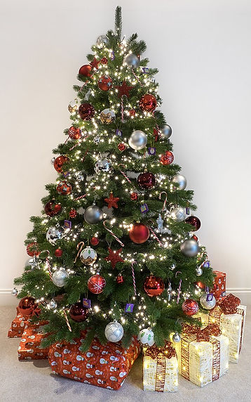 A1_Christmas_Tree_photo.jpg