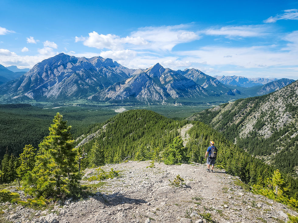 Hiker with a backpack stands on a rocky path, overlooking vast green forest and majestic mountains under a bright blue sky.