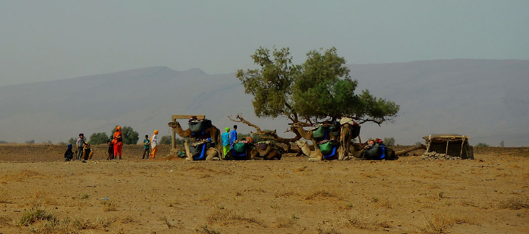 Sahara Desert convoy Morocco camels Bedouin