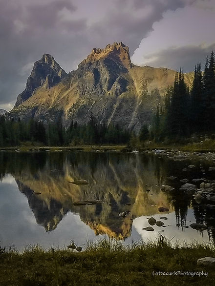 Opabin Plateau Lake O'Hara area, Yoho National Park, Canada