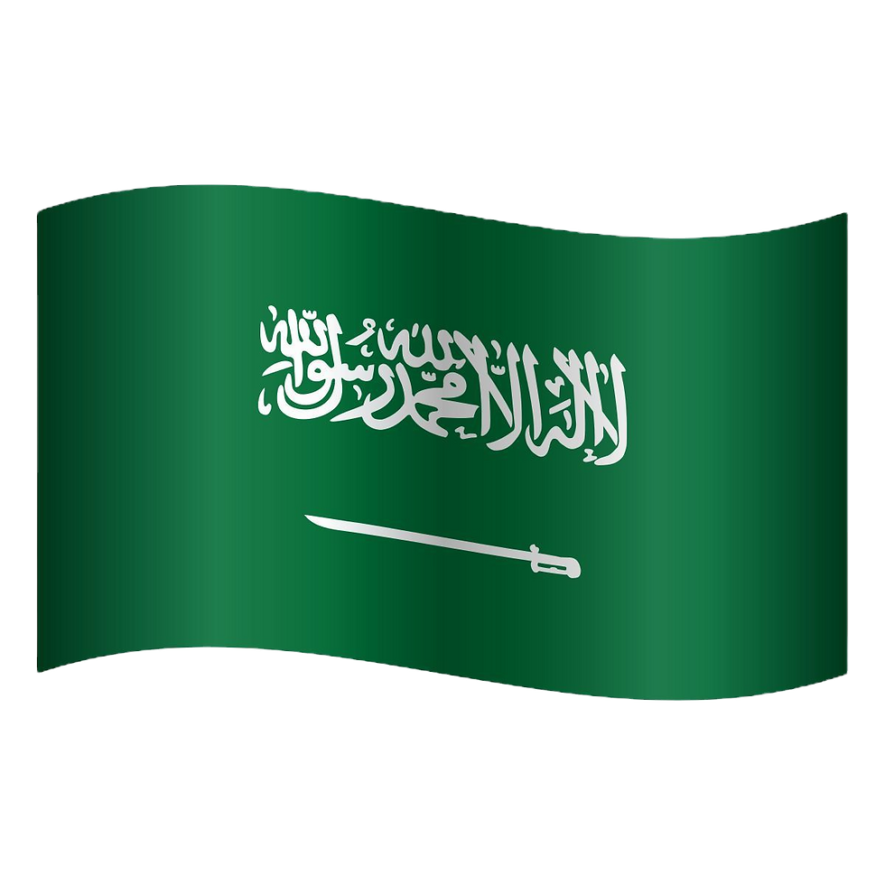 saudi-arabia-emoji_edited.png
