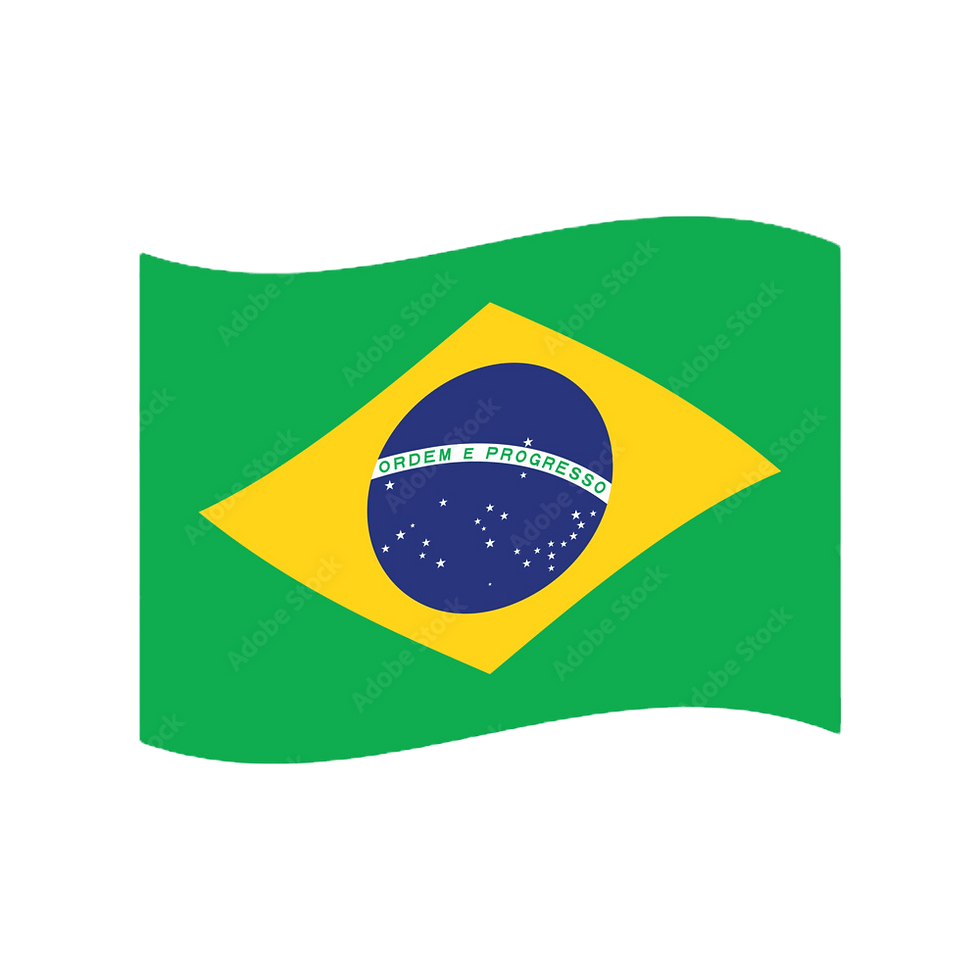 1000_F_1615296909_ZpyGgQYGbKUhTW1X6JgXVWhinmwTqm0K_edited.png