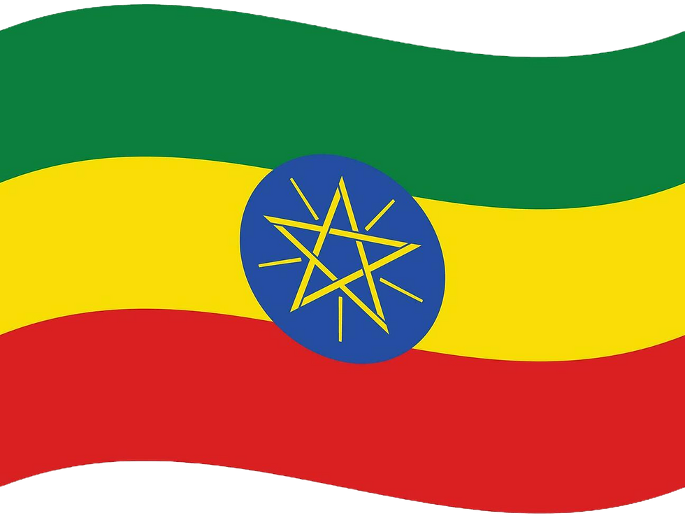 ethiopia-flag-wave-ethiopia-flag-flag-of-ethiopia-vector_edited.png