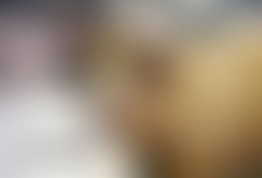 Stressittömästi kasvatettu Mallaspossu Reinin Lihan valikoimiin