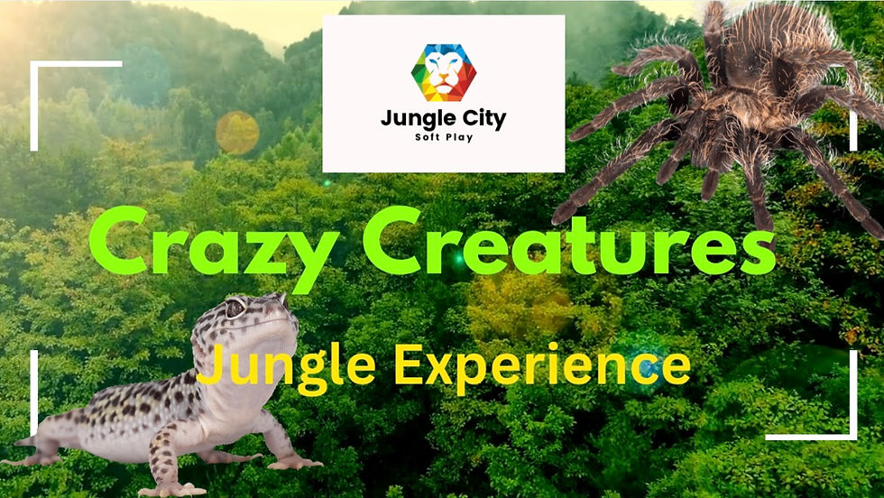 Crazy Creatures Jungle Experience