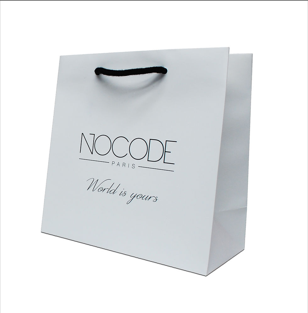 Sac papier luxe