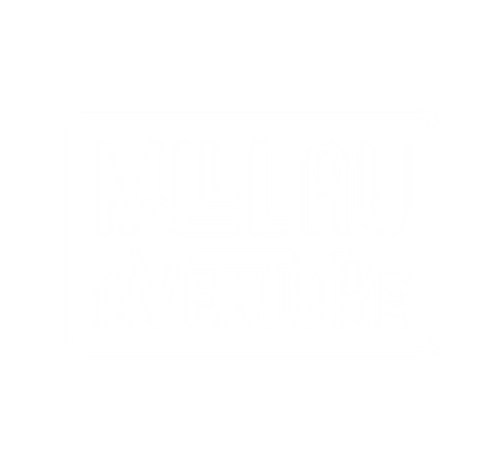 Logotypes_MillauAventure_blanc.png