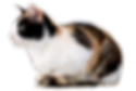 名称未設定 5.png