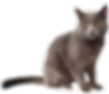 名称未設定 2.png