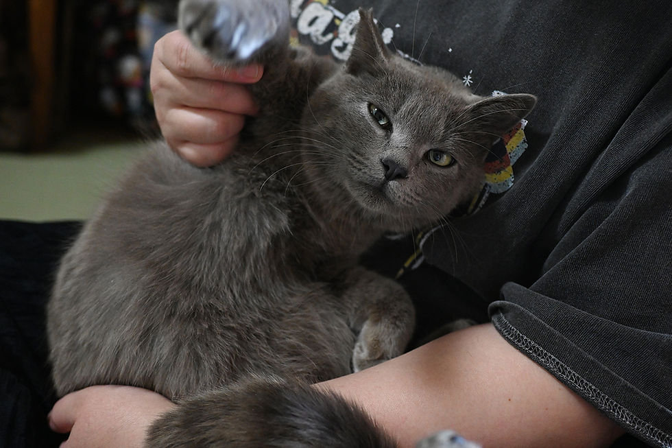 DSC_2581.JPG