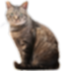 名称未設定 4.png
