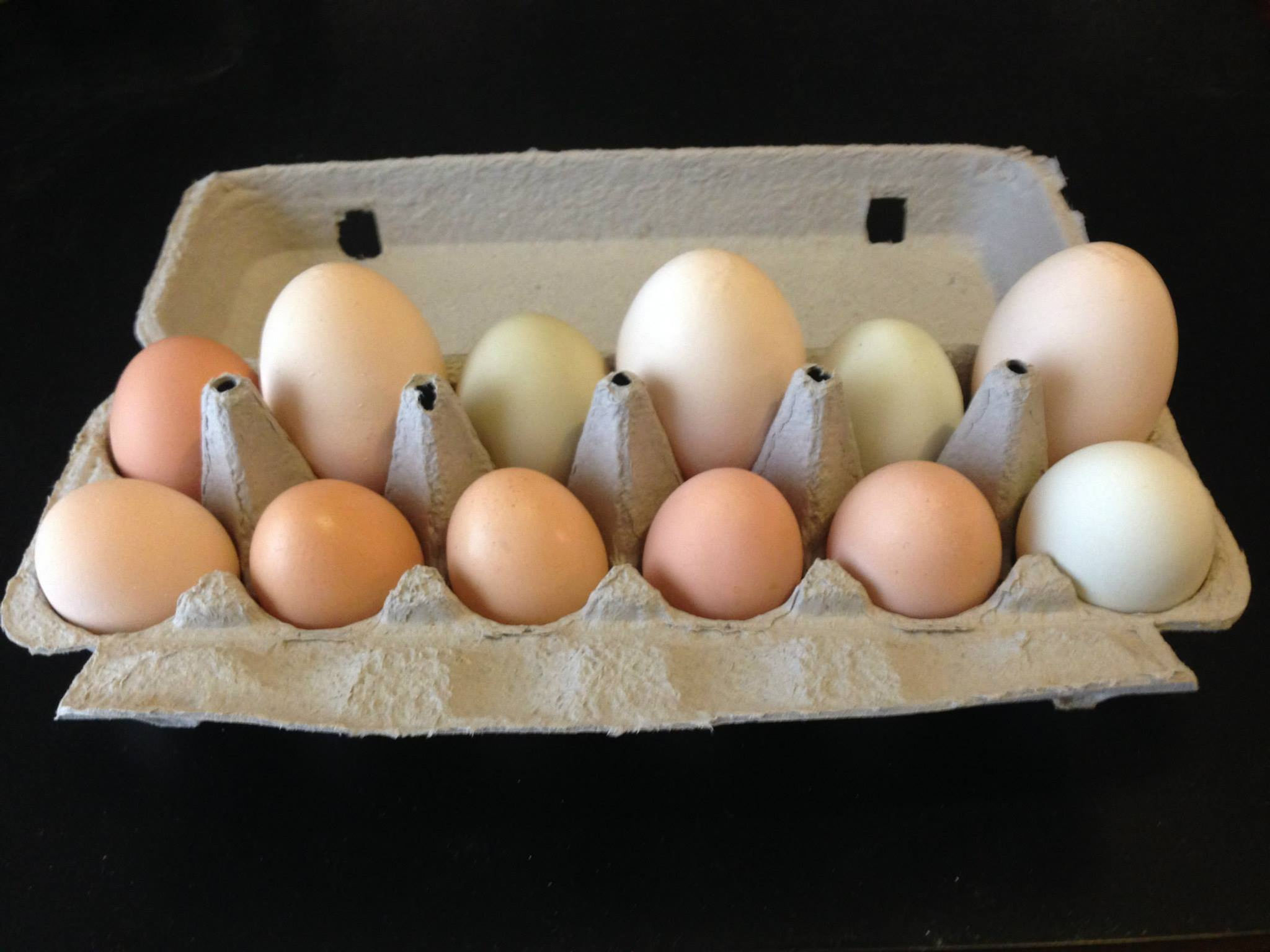Chicken Eggs, Liberty Tree Farmstead