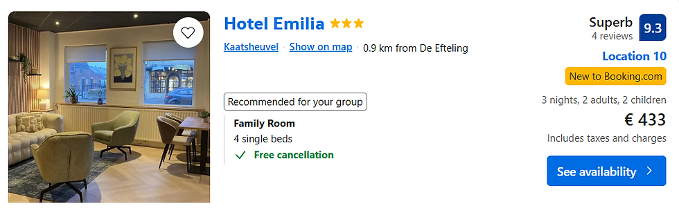 Cheap hotel near efteling theme park in the netherlands