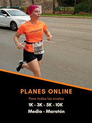 Planes ONLINE (1).png