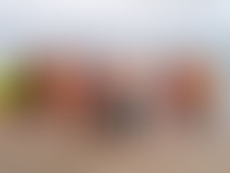 Correvolution estrena web