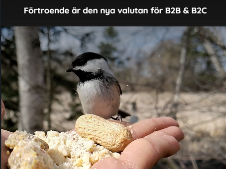 Varför förtroende är den nya valutan för både B2B- och B2C-företag