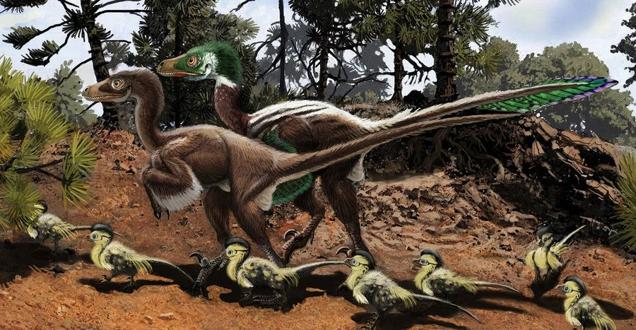 Dromaeosaurus2.jpg