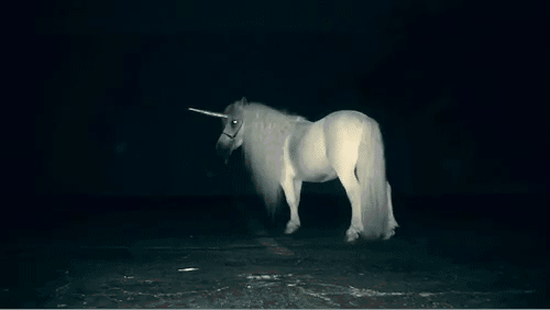 tumblr_lc8mv0jIDz1qar3y2o1_500.gif