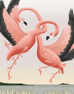 Studio PI_Ana Yael_Flamingoes.jpeg