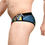 Miniatura: Brief BEAR