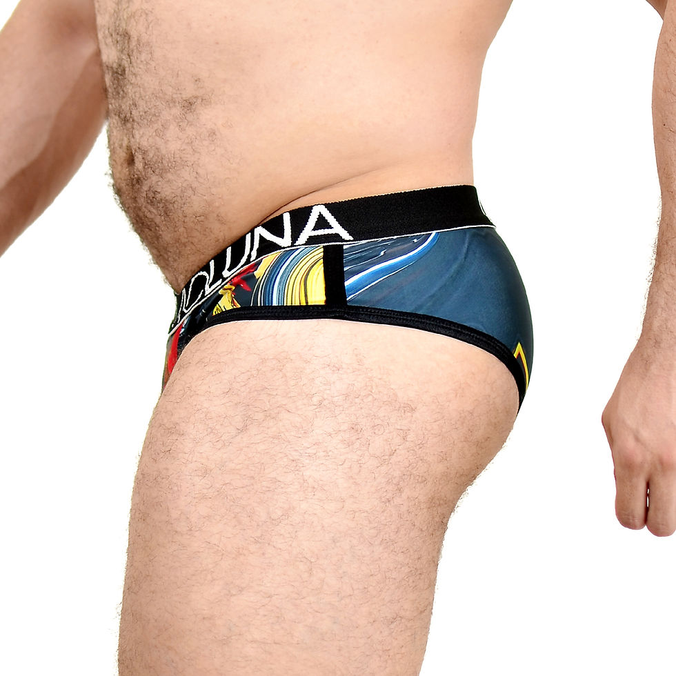 Miniatura: Brief BEAR