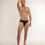 Thumbnail: Brief Black