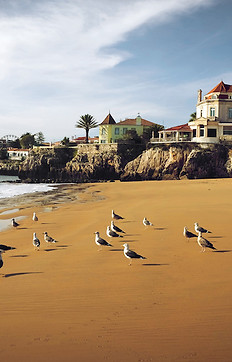 Wines&co-cascais.jpeg