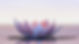 iStock-957876010.jpg