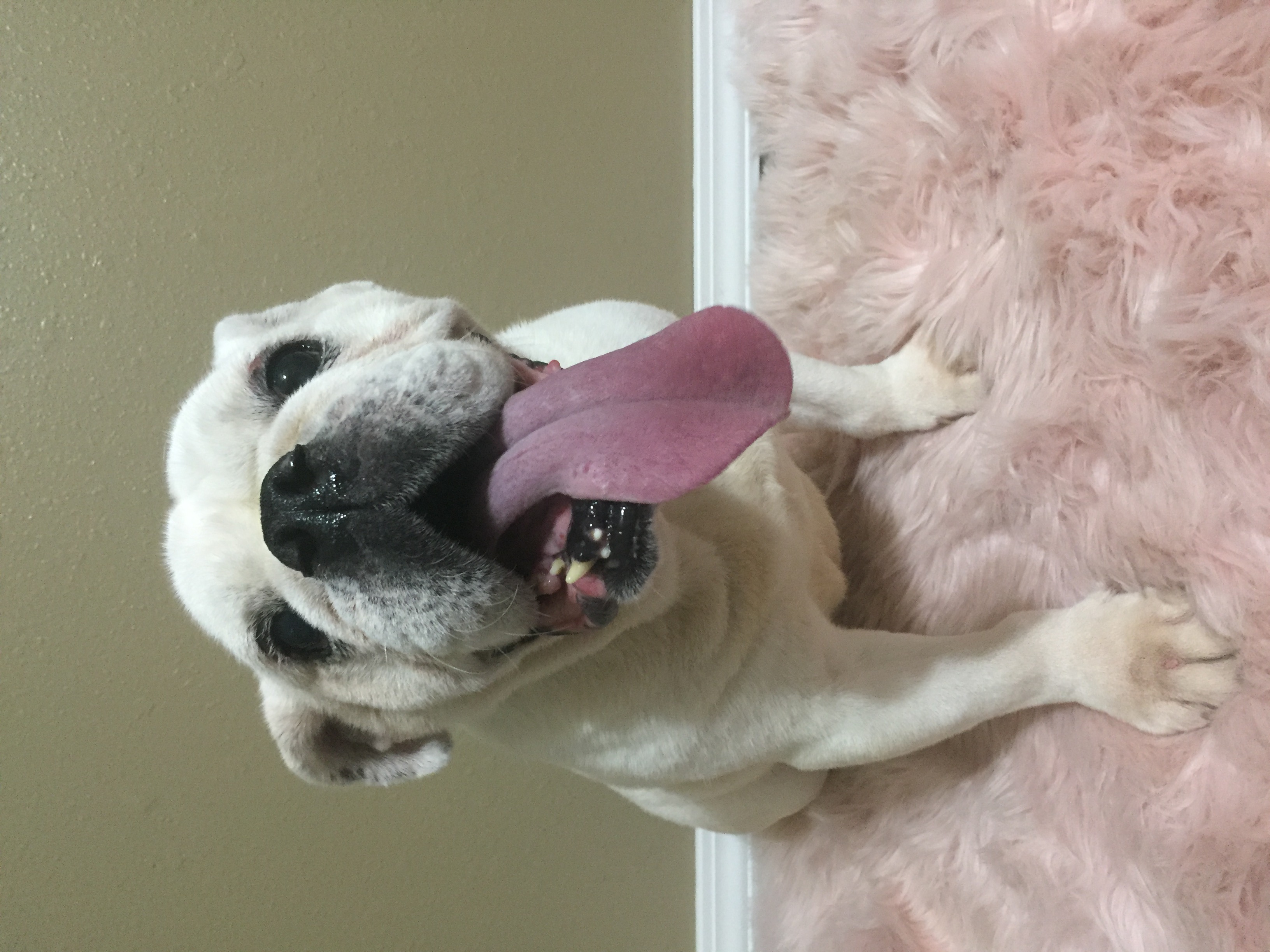 PEACHES