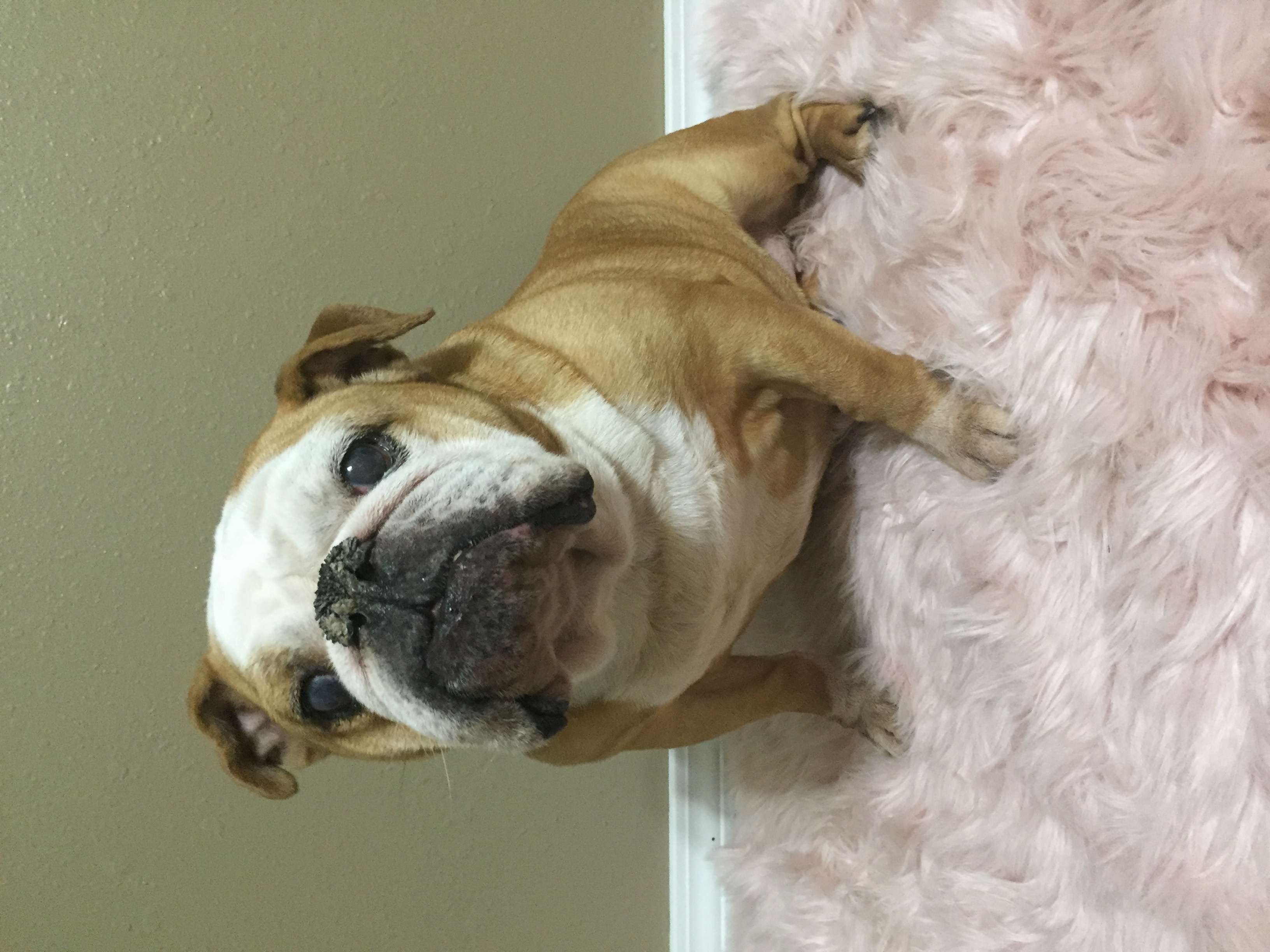 LULU