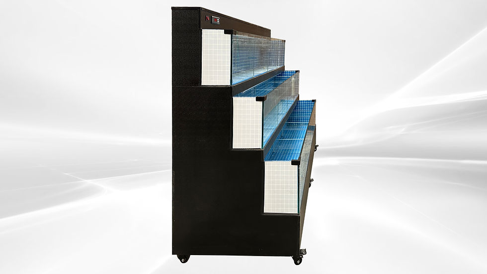 Thumbnail: 171-0325 80" Live Seafood Self Contained Sea Water Lobster Tank Cooler