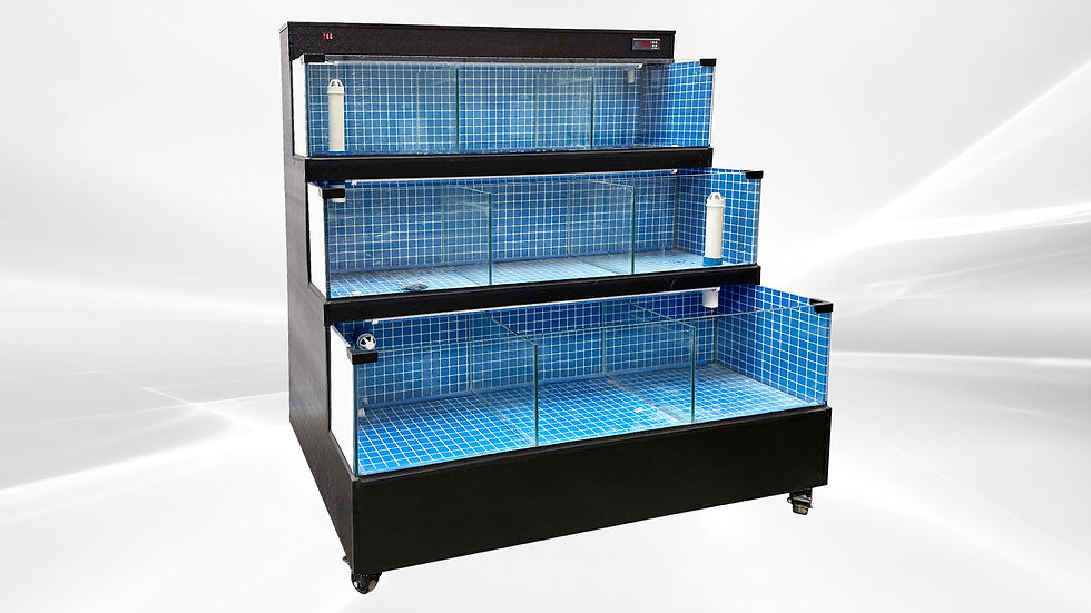 Thumbnail: 171-0324 60" Live Seafood Self Contained Sea Water Lobster Tank Cooler