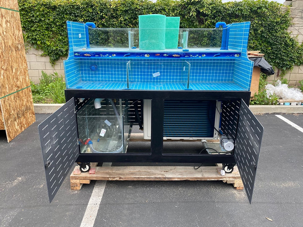 Thumbnail: 171-0318 60" Live Seafood Self Contained Display Tank Cooler