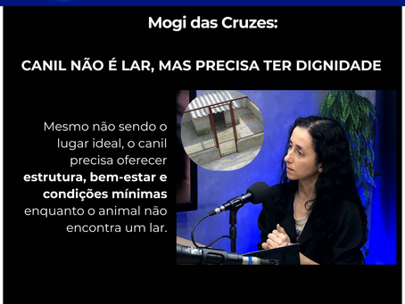 Canil não é lar, mas precisa ter dignidade