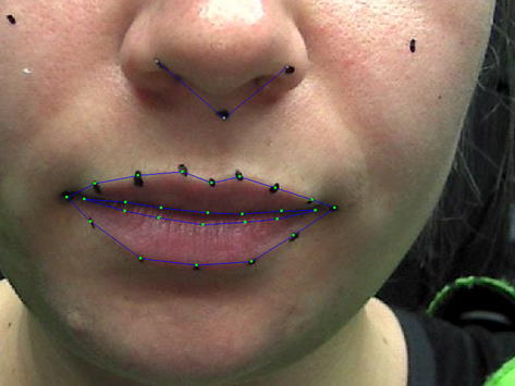 PeCap W3 '24: Mouth in Faceware Analyzer