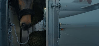 Travelling_Air Horse One_2025_Still_01.jpg