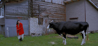 About the cow_edited_edited.jpg