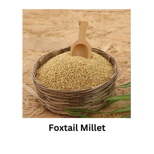 foxtail millet