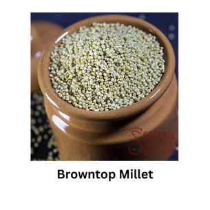 browntop millet