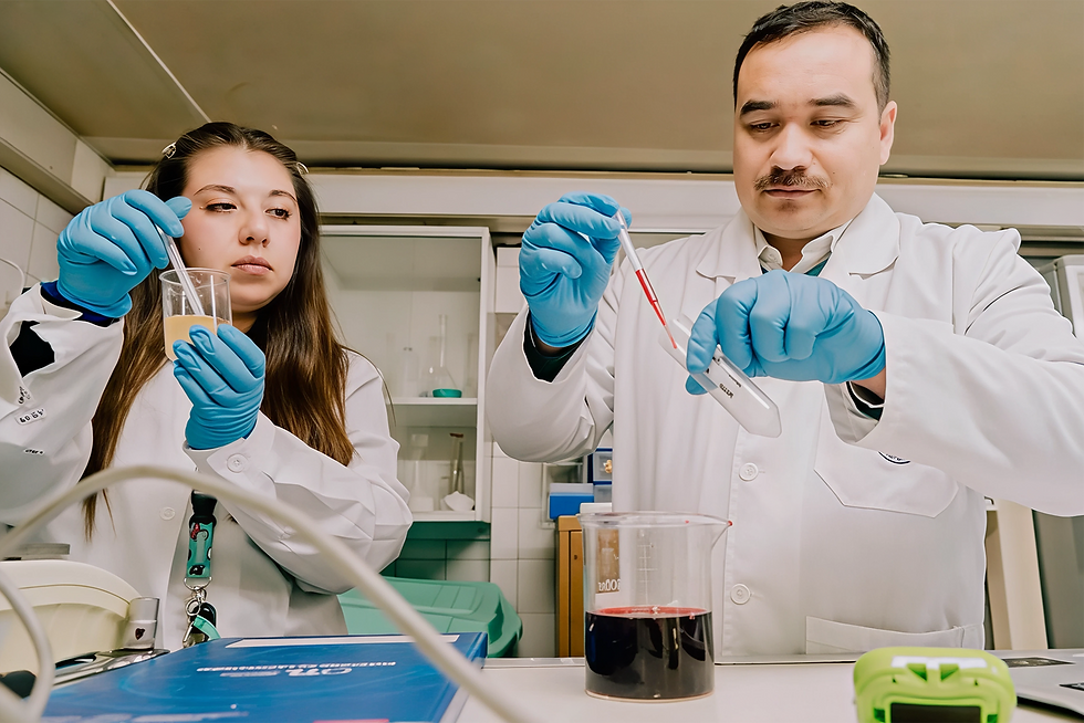 Equipo multidisciplinario de PUCV desarrolla Ñache Biotecnológico