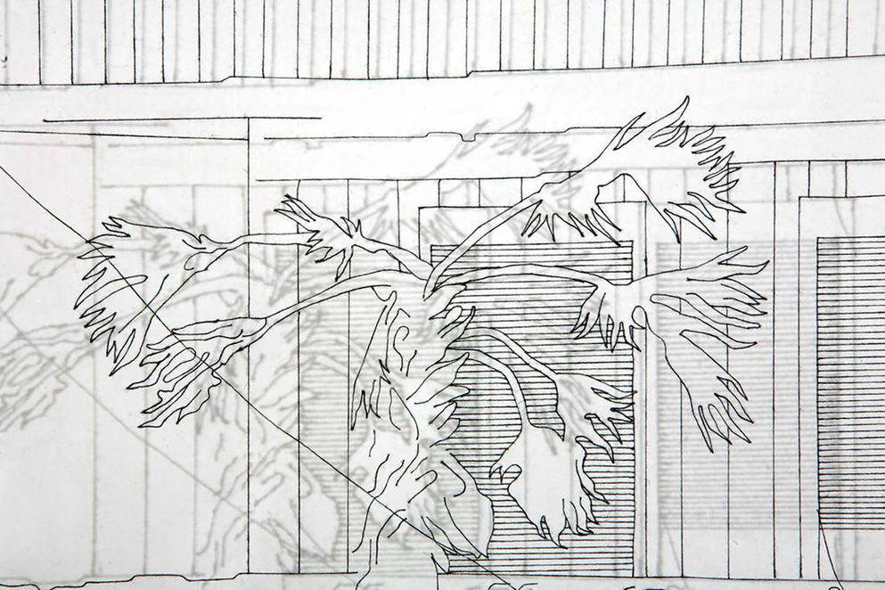 Tal Amitai Lavi, Thread Drawings