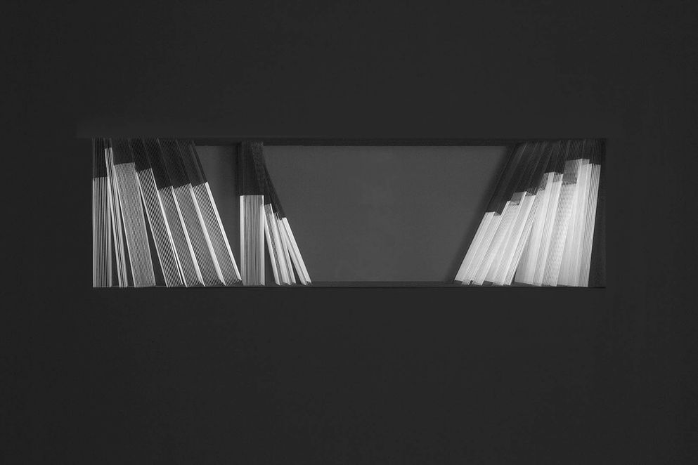 Tal Amitai Lavi, bookshelf