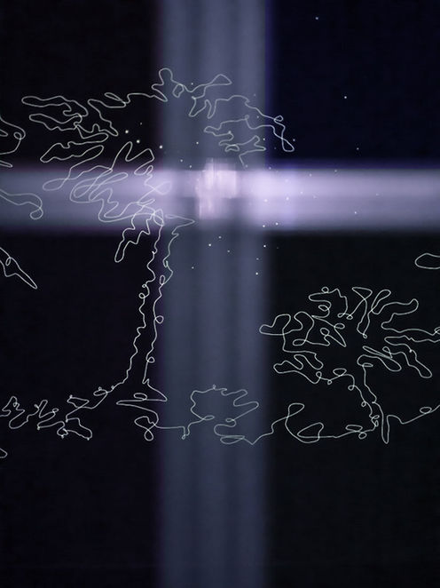 Tal Amitai-Lavi, Constellation