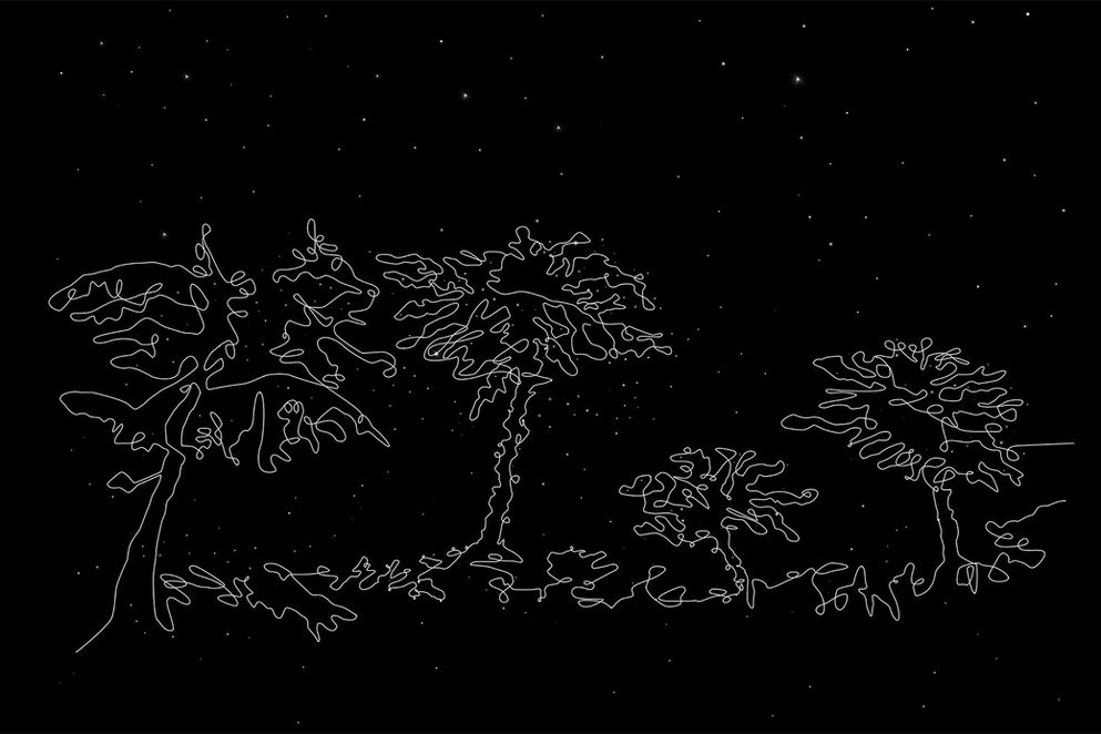 Tal Amitai-Lavi, Constellation