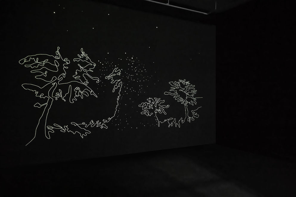 Tal Amitai-Lavi, Constellation