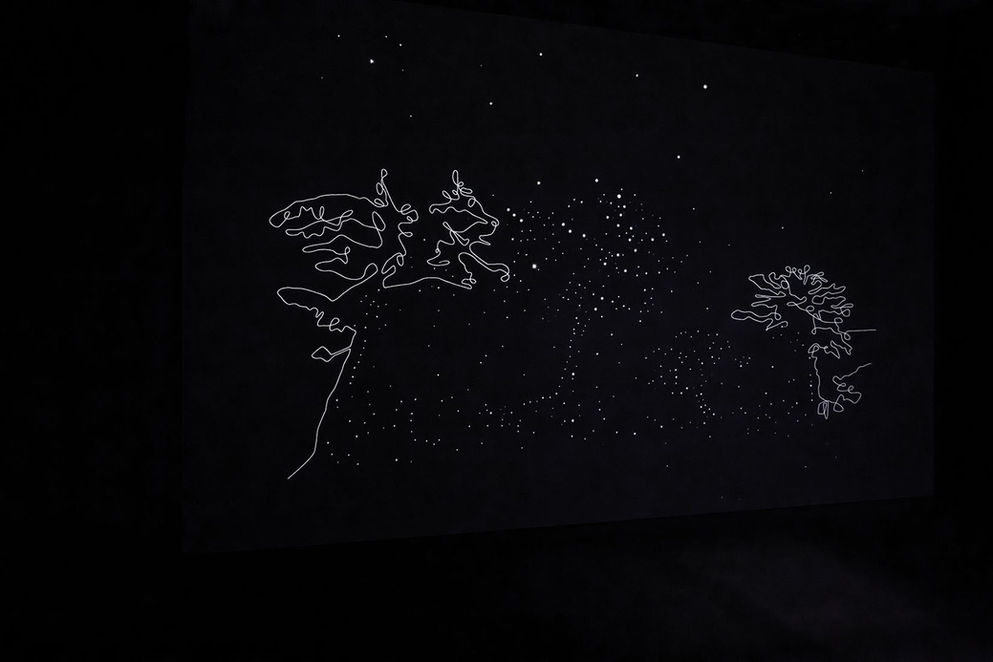 Tal Amitai-Lavi, Constellation
